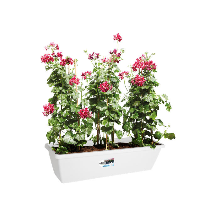 barcelona xl 60cm blanc